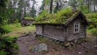 Forest Bungalos